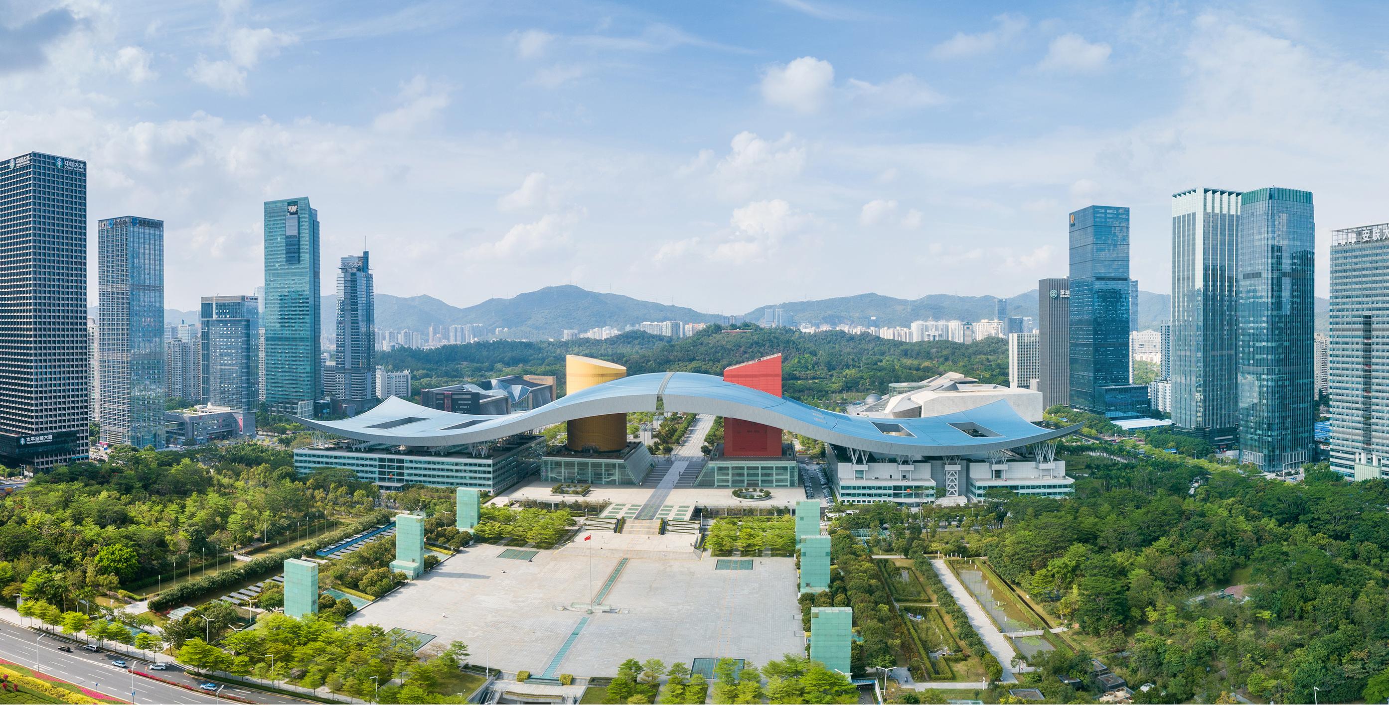 Shenzhen City Skyline